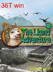 TheLlamaAdventure